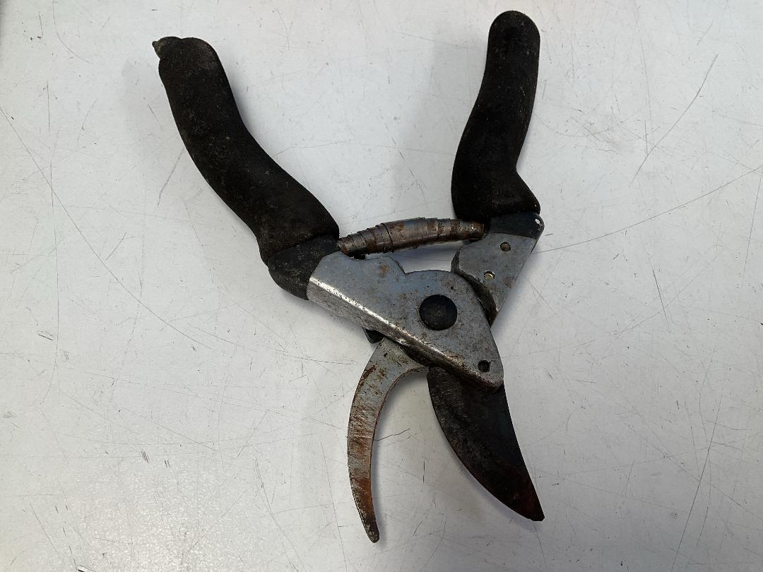 Photo '7' of Miscellaneous Items - Books, Pillow Etc