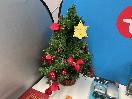 Thumbnail '3' of Miscellaneous Items - Small Artificial Christmas Tree, Pots, Photo Frames Etc