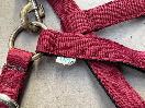 Thumbnail '4' of Shires 69" Fleece Horse Halter Lung Rope Etc