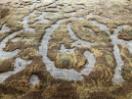 Thumbnail '3' of Persian Rug 16