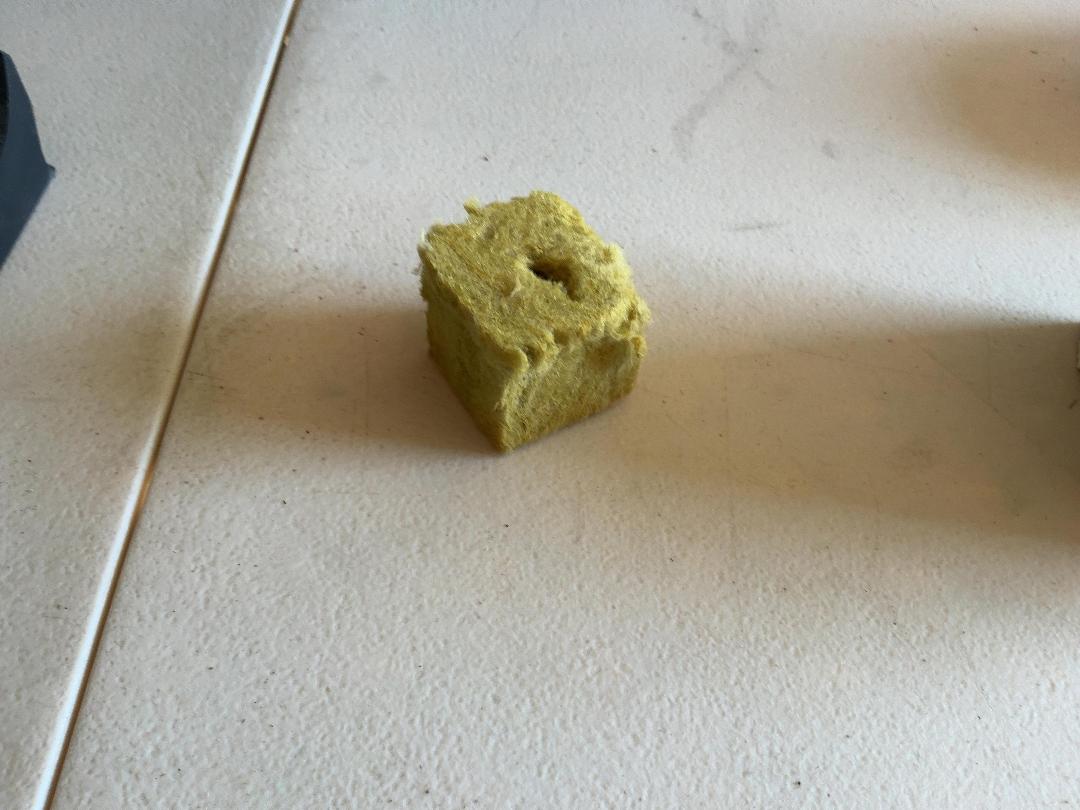 Photo '3' of Rockwool Cubes
