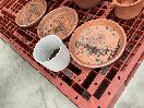 Thumbnail '3' of Terracotta Coloured Garden Pots
