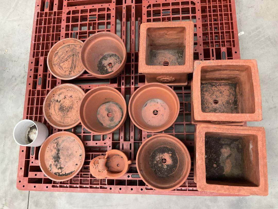 Photo '7' of Terracotta Coloured Garden Pots