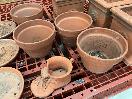 Thumbnail '10' of Terracotta Coloured Garden Pots