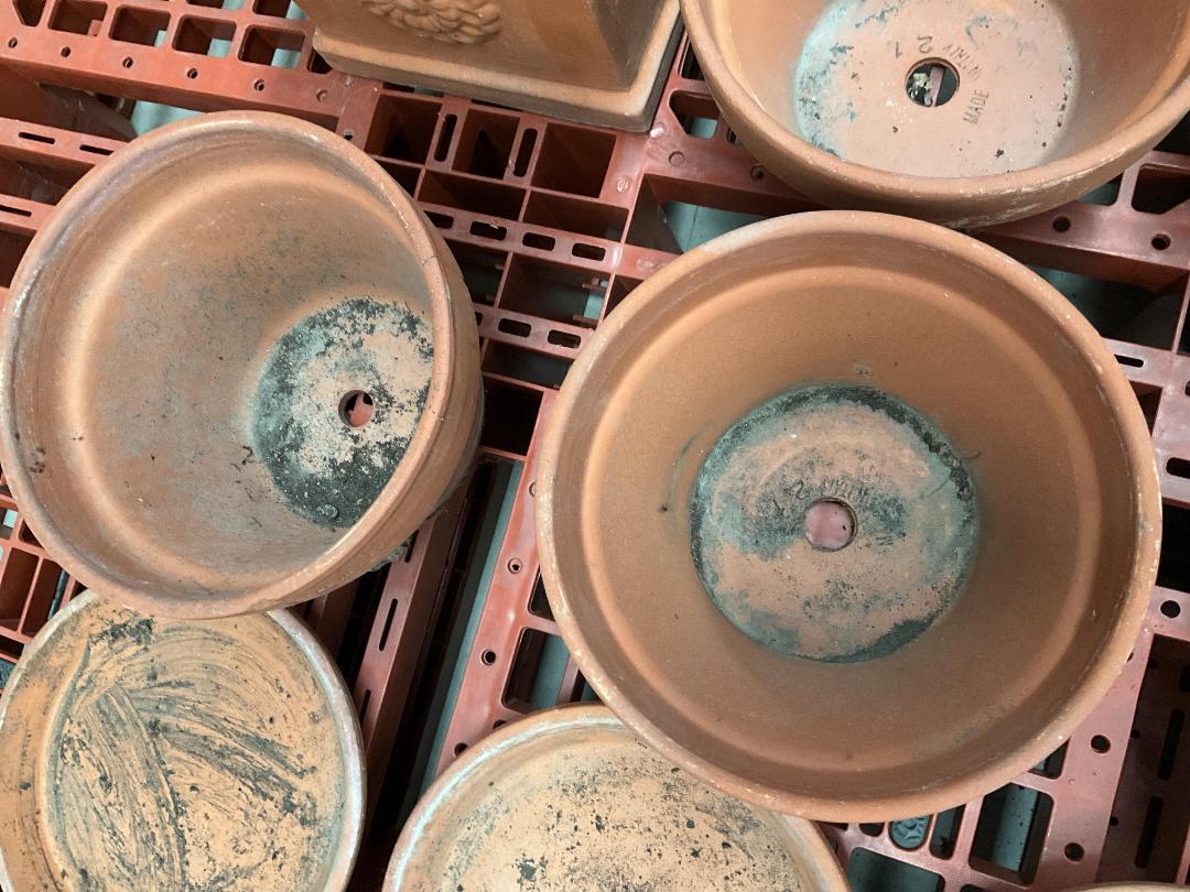 Photo '9' of Terracotta Coloured Garden Pots