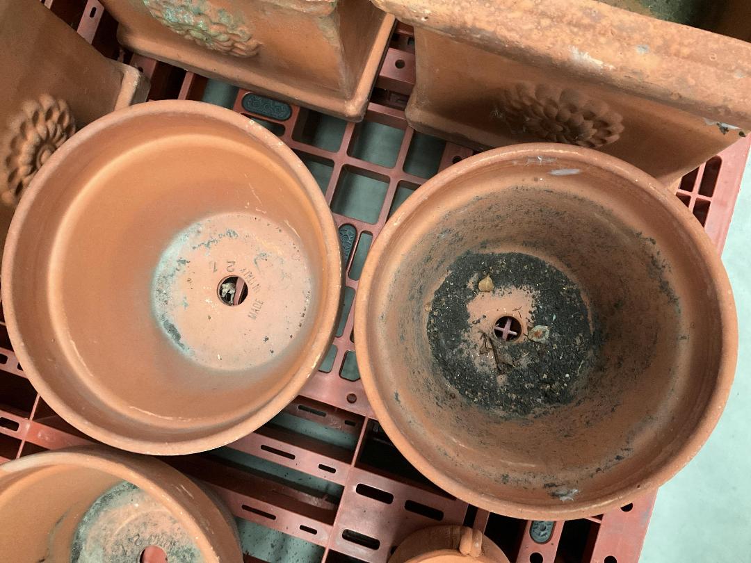 Photo '8' of Terracotta Coloured Garden Pots