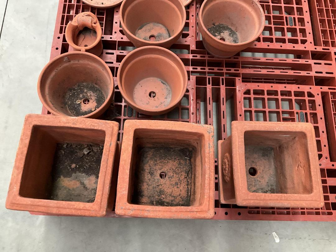 Photo '12' of Terracotta Coloured Garden Pots