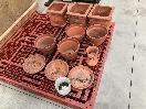 Thumbnail '13' of Terracotta Coloured Garden Pots