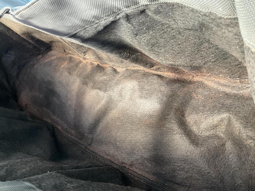 Photo '5' of Garden Grow Bag