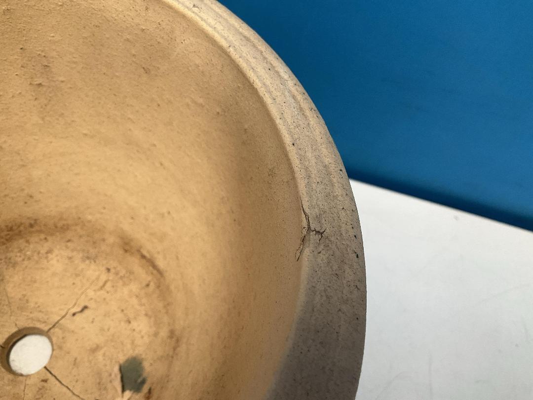 Photo '16' of 2x Garden Pots Photo '16' of 2x Garden Pots