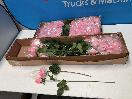 Thumbnail '1' of 2x Boxes of Artificial Single Stem Pink Coloured Roses
