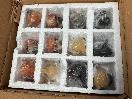 Thumbnail '15' of 12x Assorted Dog Ornaments *NEW*