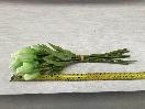 Thumbnail '4' of High Quality Artificial Flowers - (pce) *NEW*