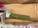 Thumbnail '6' of High Quality Artificial Flowers - (pce) *NEW*