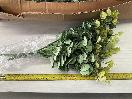 Thumbnail '3' of High Quality Artificial Flowers - (pce) *NEW*