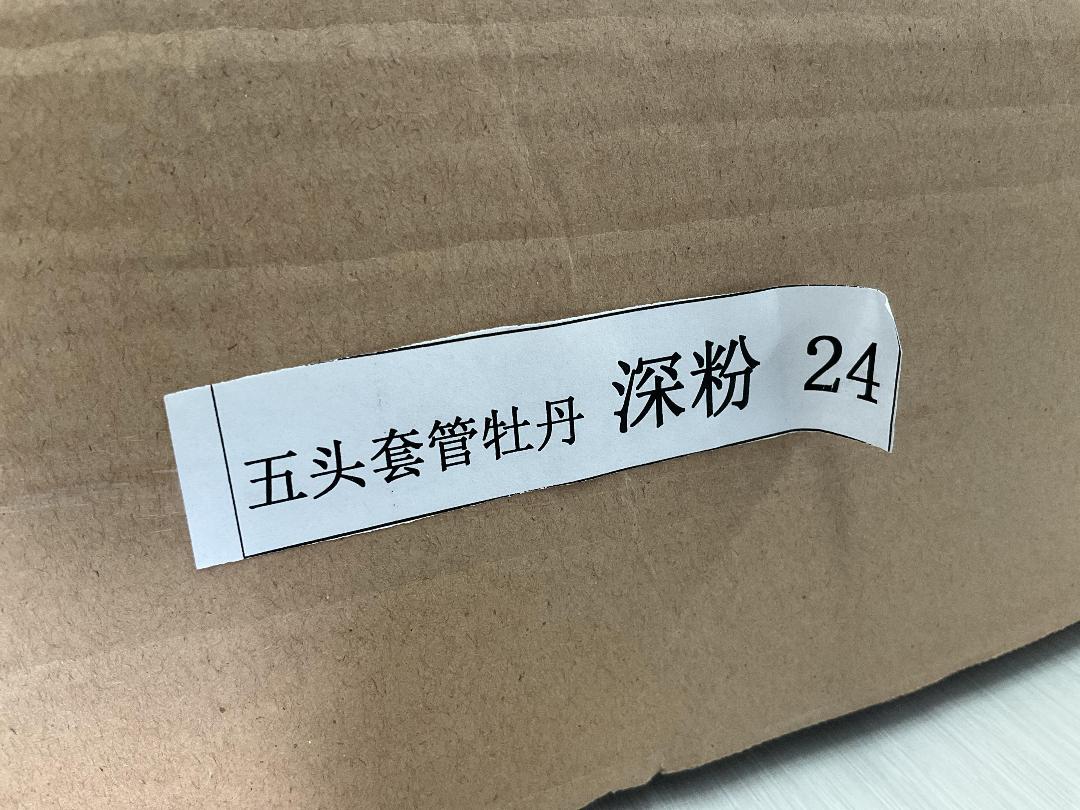 Photo '5' of High Quality Artificial Flowers - Peony (Soft Pink) *NEW*