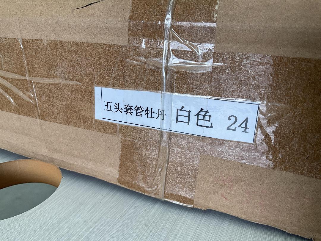 Photo '5' of High Quality Artificial Flowers - Peony (White) *NEW*