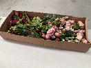 Thumbnail '7' of High Quality Artificial Flowers - Rose ( Burgundy , Blush & Pink ) *NEW*