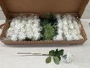Thumbnail '1' of High Quality Artificial Flowers - Real Touch Rose (White) *NEW*