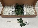 Thumbnail '1' of High Quality Artificial Flowers - Real Touch Rose (White) *NEW*