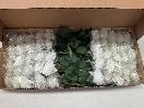 Thumbnail '4' of High Quality Artificial Flowers - Real Touch Rose (White) *NEW*