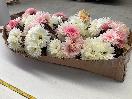 Thumbnail '7' of High Quality Artificial Flowers - Gerbera (White Pink Cream) *NEW*