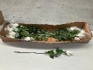 Thumbnail '1' of High Quality Artificial Flowers - Real Touch Rose (White) *NEW*