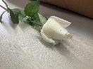Thumbnail '2' of High Quality Artificial Flowers - Real Touch Rose (White) *NEW*