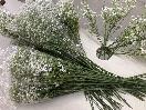 Thumbnail '4' of High Quality Artificial Flowers - Gypsophila (White) *NEW*