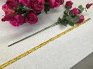 Thumbnail '3' of High Quality Artificial Flowers - Rose (Fuchsia) *NEW*