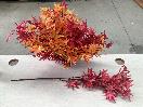 Thumbnail '4' of High Quality Artificial Flowers - Maple (Red & Orange) *NEW*