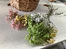 Thumbnail '2' of High Quality Artificial Flowers - Gypsophilia (Assorted Colours) *NEW*