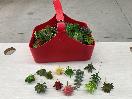 Thumbnail '1' of High Quality Artificial Flowers - Real Touch Succulents *NEW*