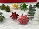Thumbnail '3' of High Quality Artificial Flowers - Real Touch Succulents *NEW*