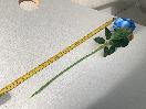 Thumbnail '4' of High Quality Artificial Flowers - Rose (Blue) *NEW*