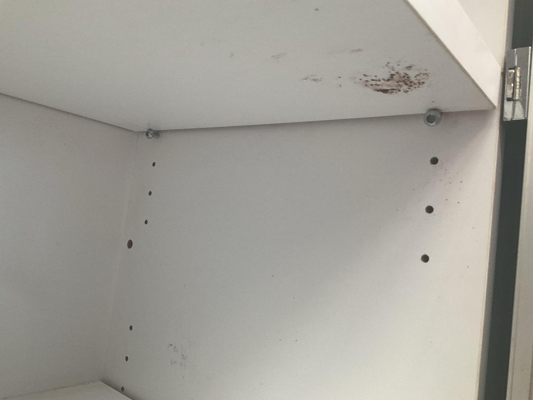 Photo '3' of Mobile Lockable Storage Cabinet