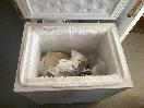 Thumbnail '4' of Haier Chest Freezer
