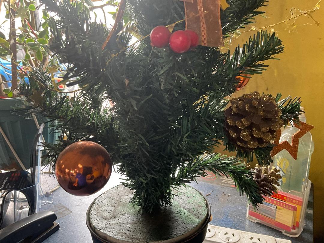 Photo '3' of Mini Christmas Tree Photo '3' of Mini Christmas Tree