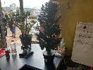 Thumbnail '2' of Mini Christmas Tree