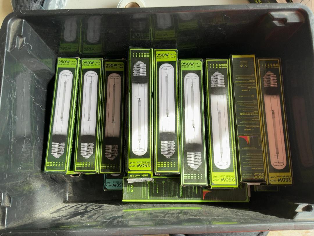 Photo '6' of Container of 250W Super HPS Bulbs
