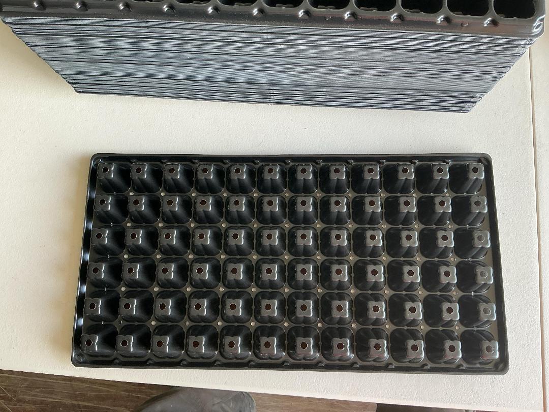 Photo '4' of 72-Cell Plug Trays