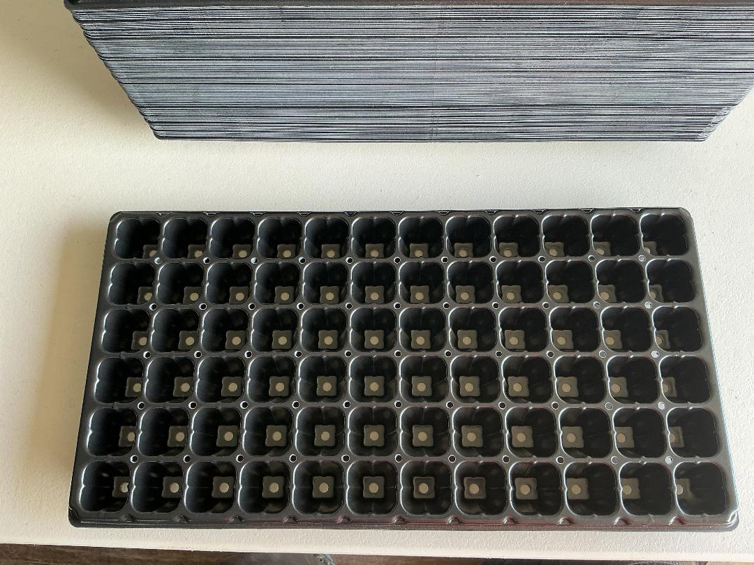 Photo '3' of 72-Cell Plug Trays