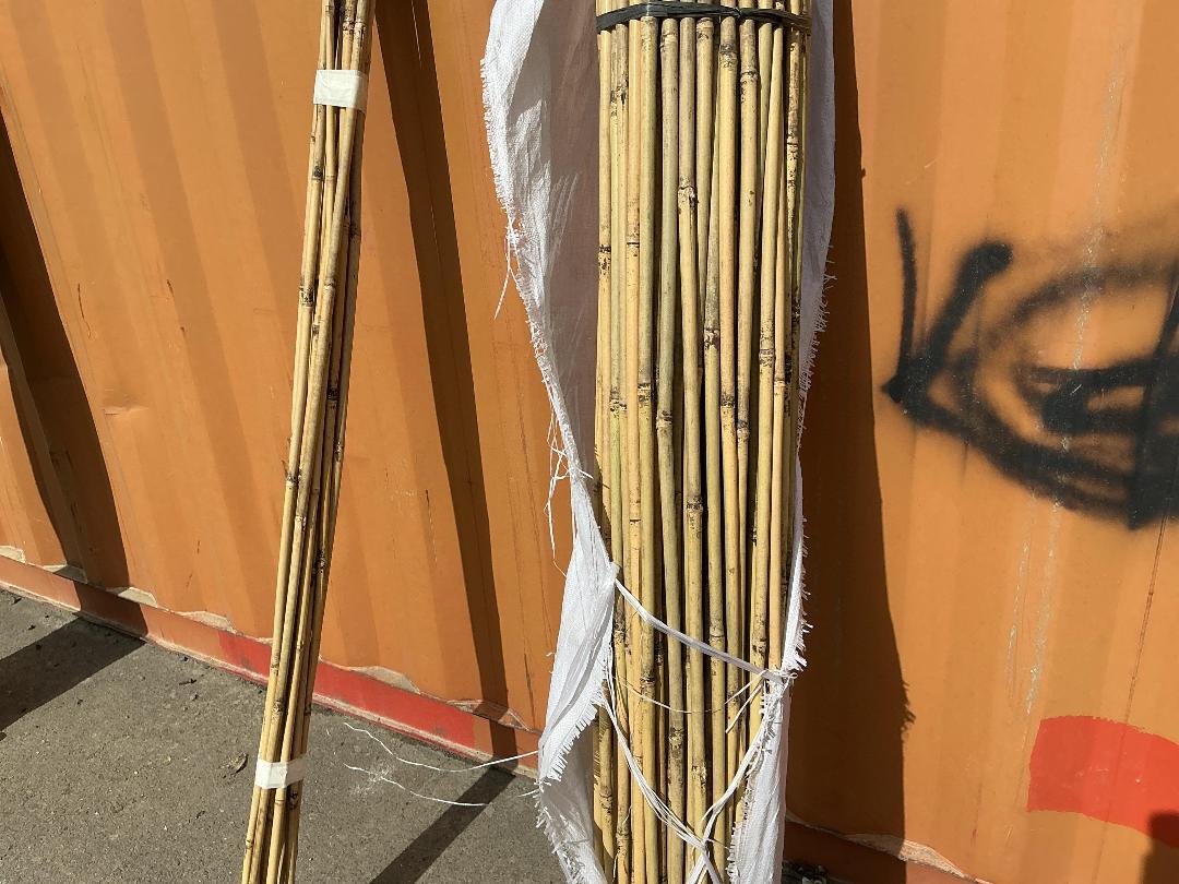 Photo '3' of Egmont Bamboo Sticks