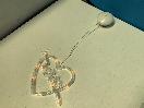 Thumbnail '2' of Love Heart with Arrow Shaped Hanging / Suction Lights - (5pce)  *NEW*