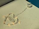 Thumbnail '5' of Love Heart with Arrow Shaped Hanging / Suction Lights - (5pce)  *NEW*