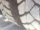 Thumbnail '15' of Iveco EUROTECH MP4500 Tractor-Unit Thumbnail '15' of Iveco EUROTECH MP4500 Tractor-Unit