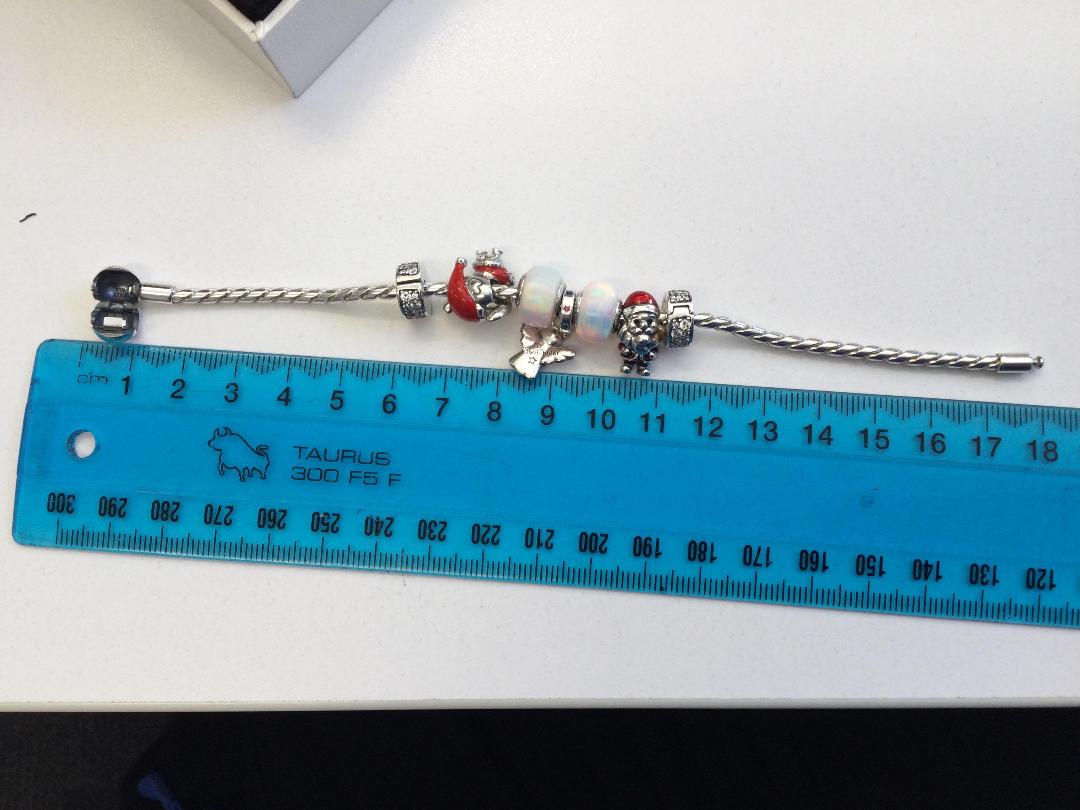 Photo '6' of Pandora Charm Bracelet & Charms