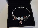 Thumbnail '1' of Pandora Charm Bracelet & Charms