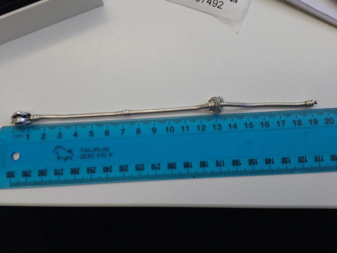 Photo '6' of Silver Charm Bracelet & Charm