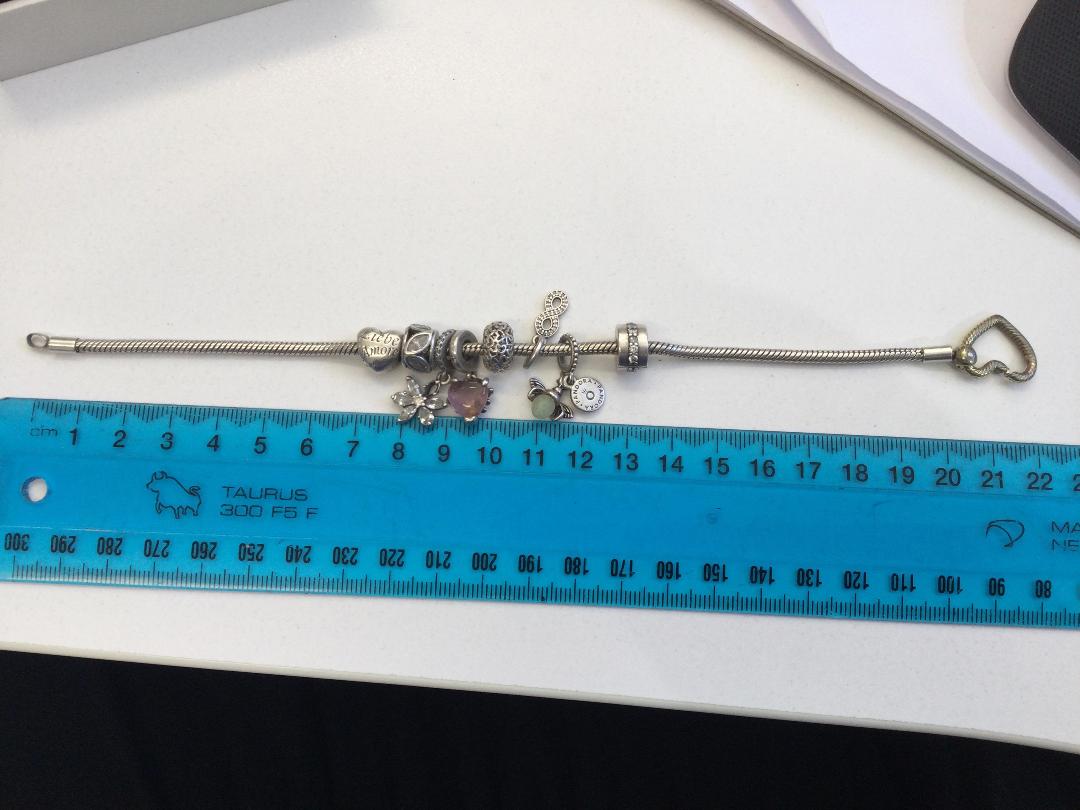 Photo '6' of Silver Charm Bracelet & 8 Charms